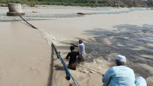 b_300_0_16777215_00_images_bohran-s.jpg