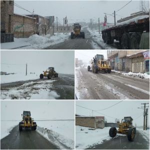b_300_0_16777215_00_images_bohran0004.jpg